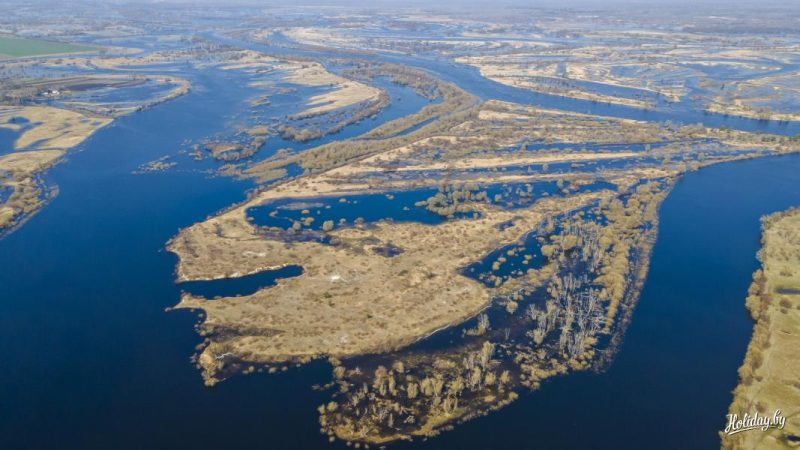 Река Припять несколько лет назад