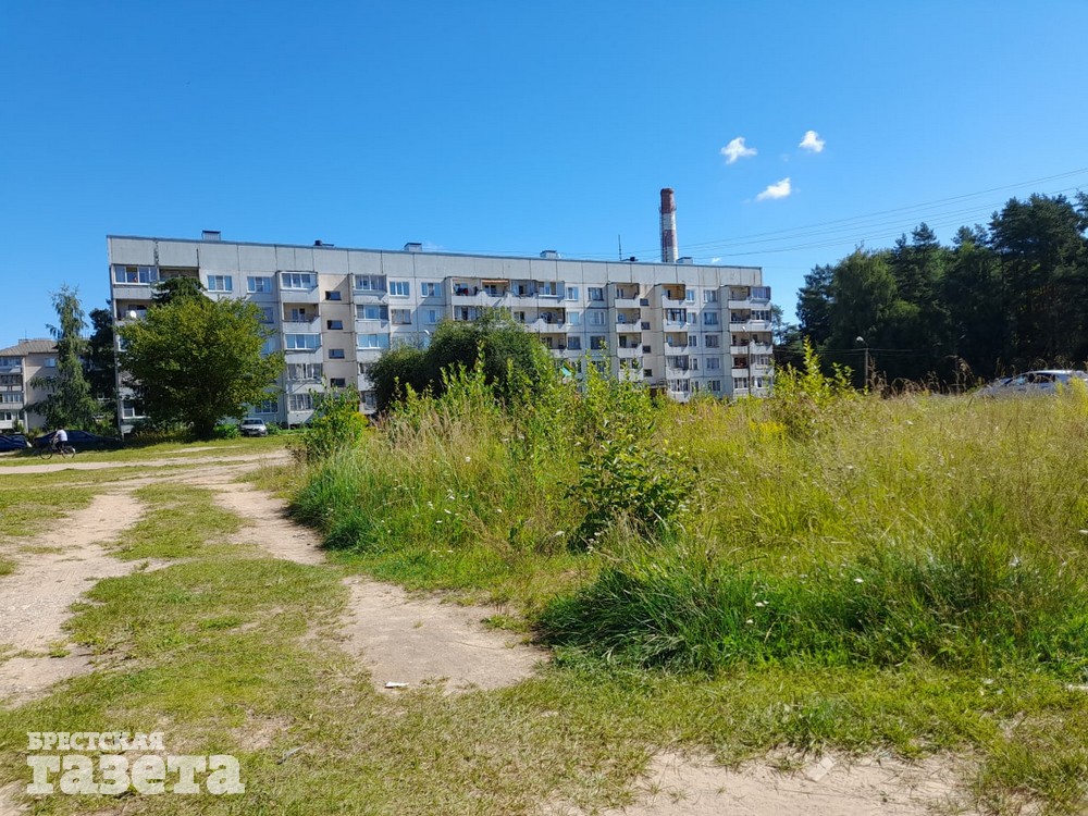 Трава по пояс… Привычная картина для рядового райцентр на Псковщине.