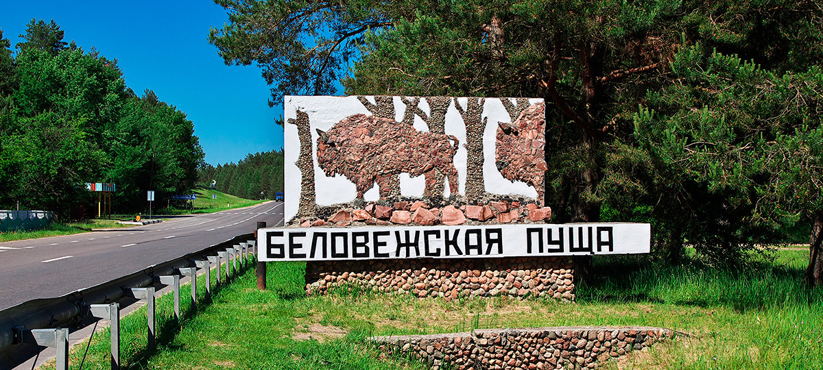 Беловежская пуща