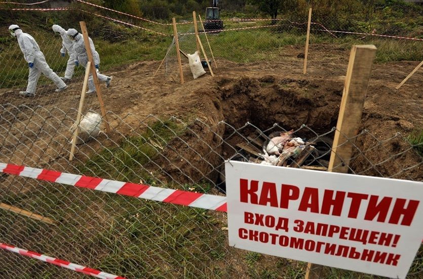 Иллюстративное фото с сайта bahna.land.