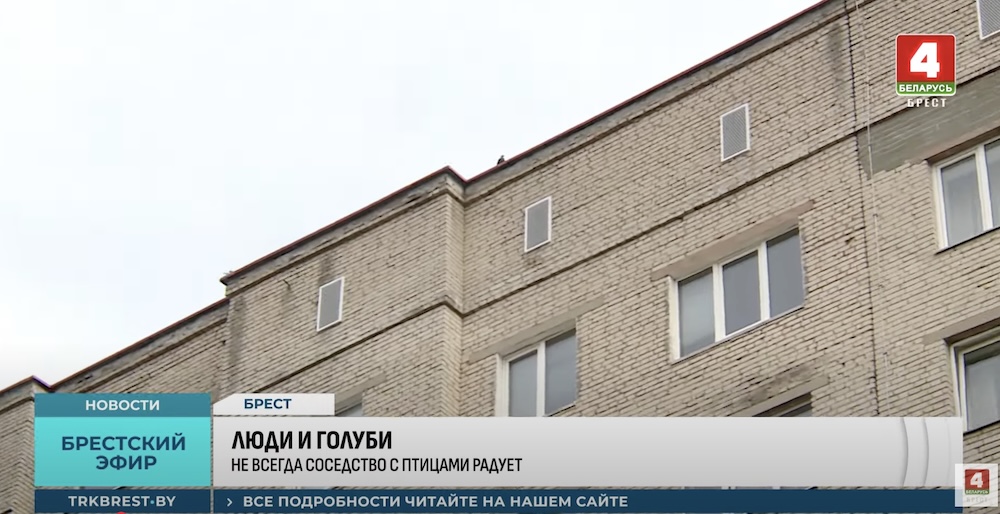 Скриншот с сюжета «ТРК Брест».