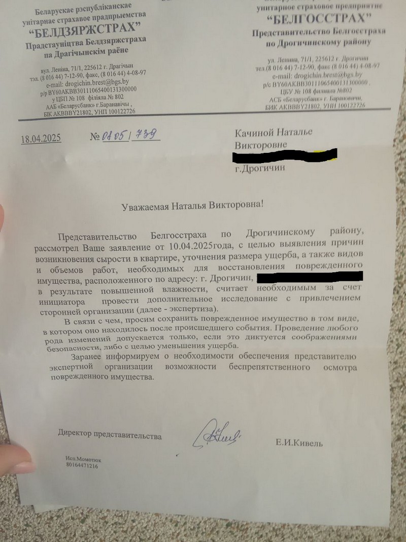 Ответ Белгосстраха семье, которая живет в квартире с плесенью. Фото из соцсетей Натальи Качиной