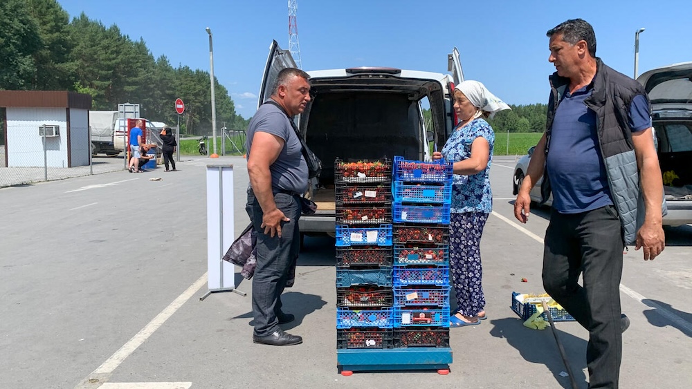 Фермеры продают клубнику в деревне Дворец в Лунинце. Фото: myfin.by.