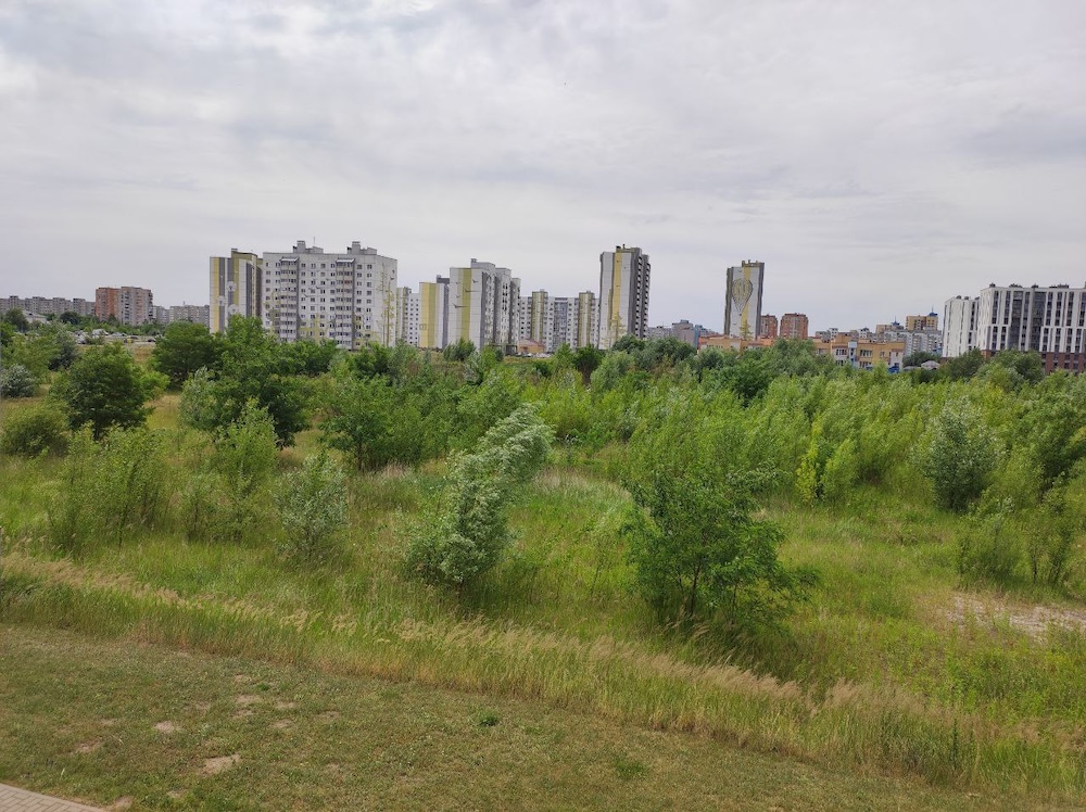 Заросший участок земли в Бресте в ЮВМР-4 в Бресте. Фото: Телеграм.