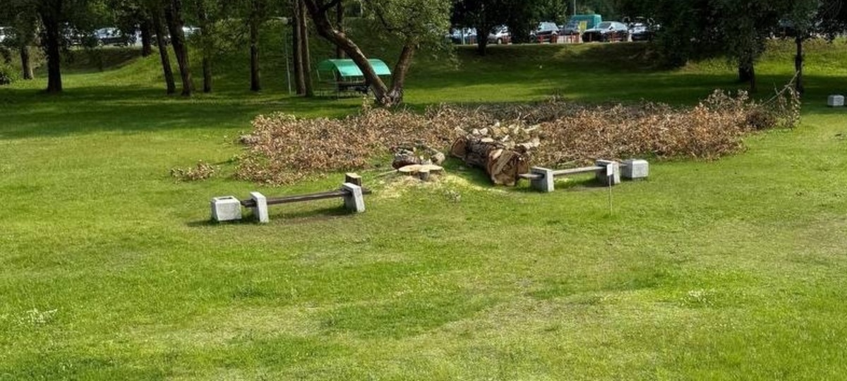 Спиленные деревья в пункте пропуска «Брест». Фото из соцсетей