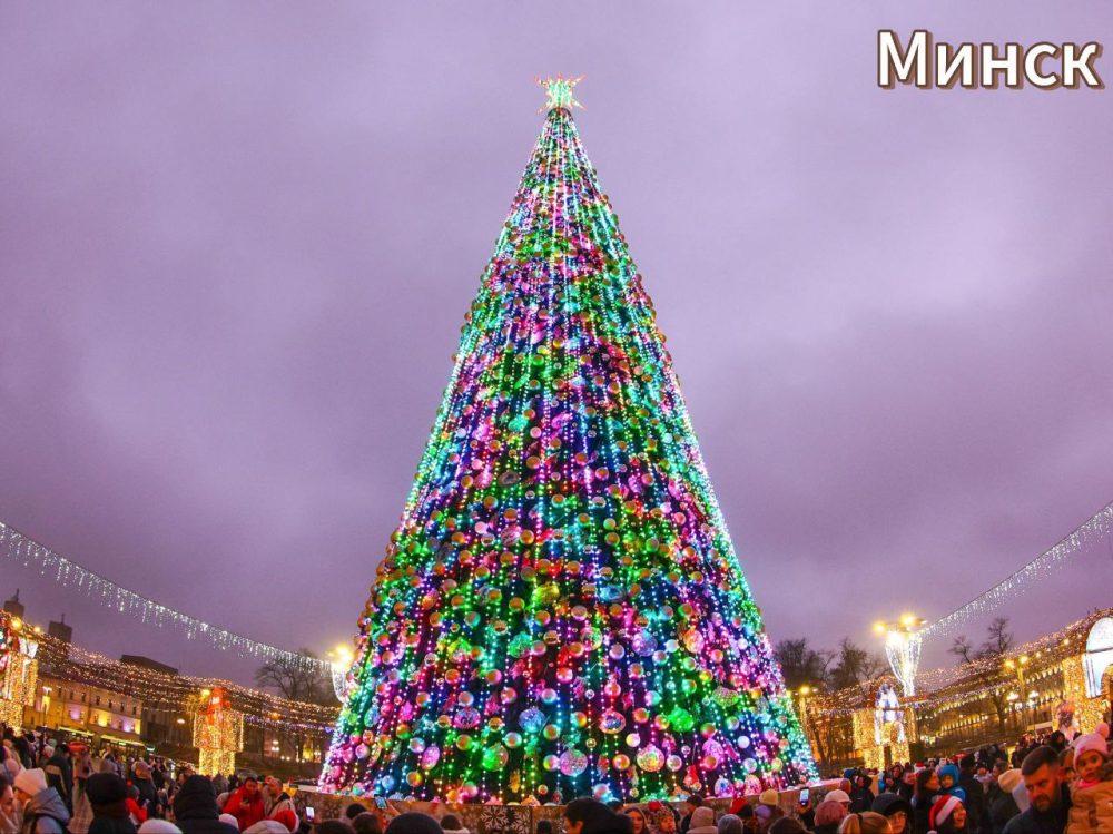 елка в минске