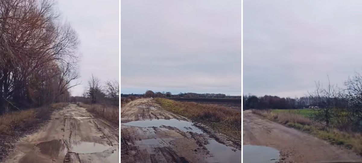 Дорога из деревни Матясы в деревню Глинянки в Кобринском районе. Коллаж BGmedia