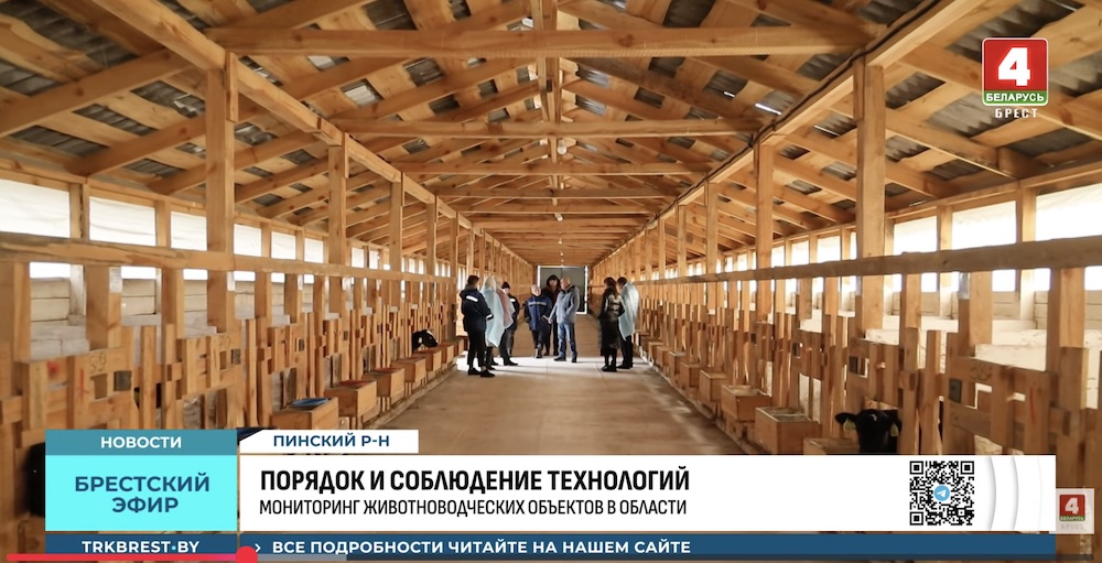 Скриншот с сюжета ТРК «Брест».