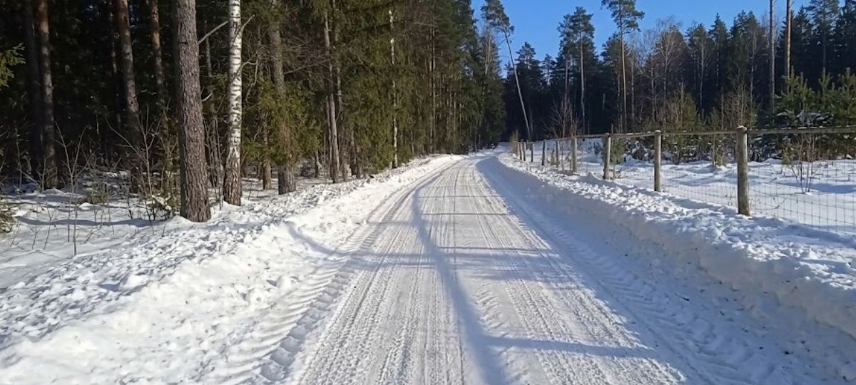 Дорога, снег, зима