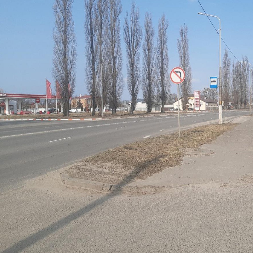 тополи