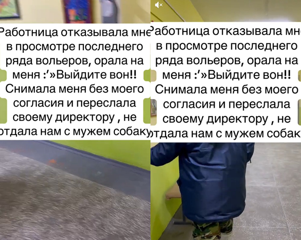 проблема в "фауне города"