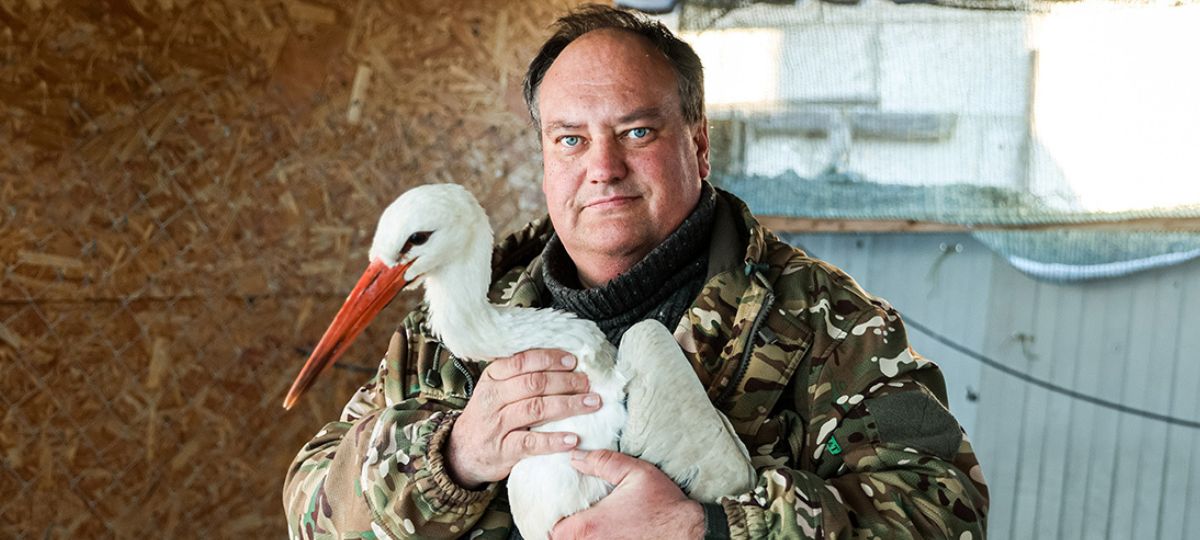 Дмитрий Авдеев, аист