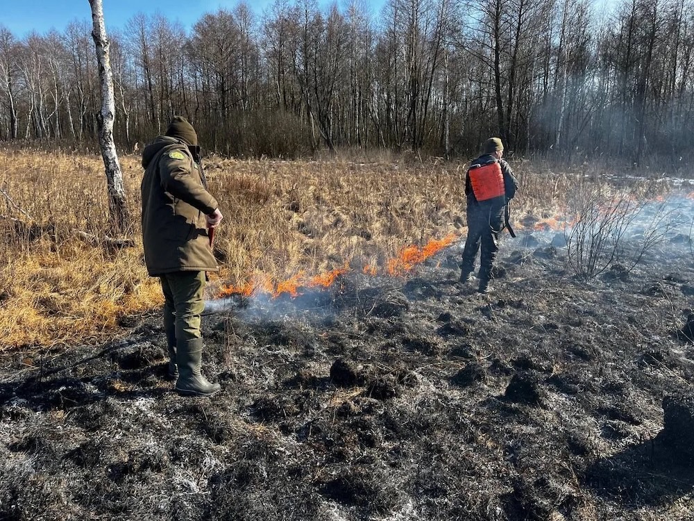 Палы в заповеднике «Споровский».