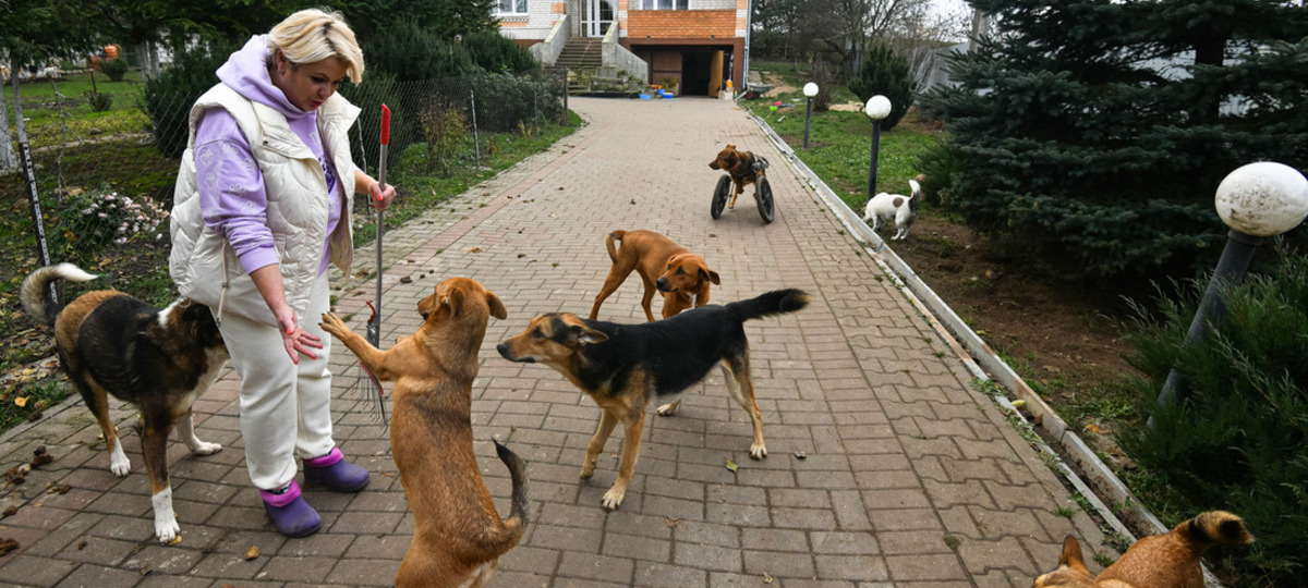 Волонтер Оксана Савчук из Слонимского района. Фото: Onliner