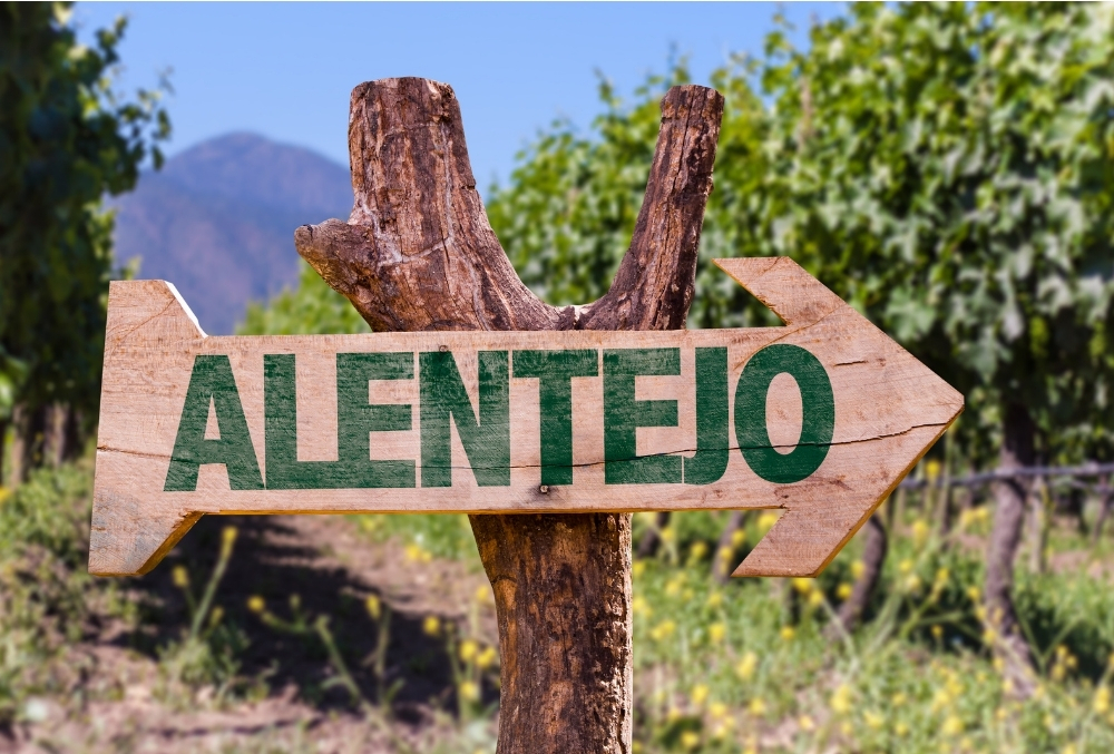 Указатель Alentejo на фоне виноградников — регион медленного ритма, виноделен и спокойного отдыха в Португалии