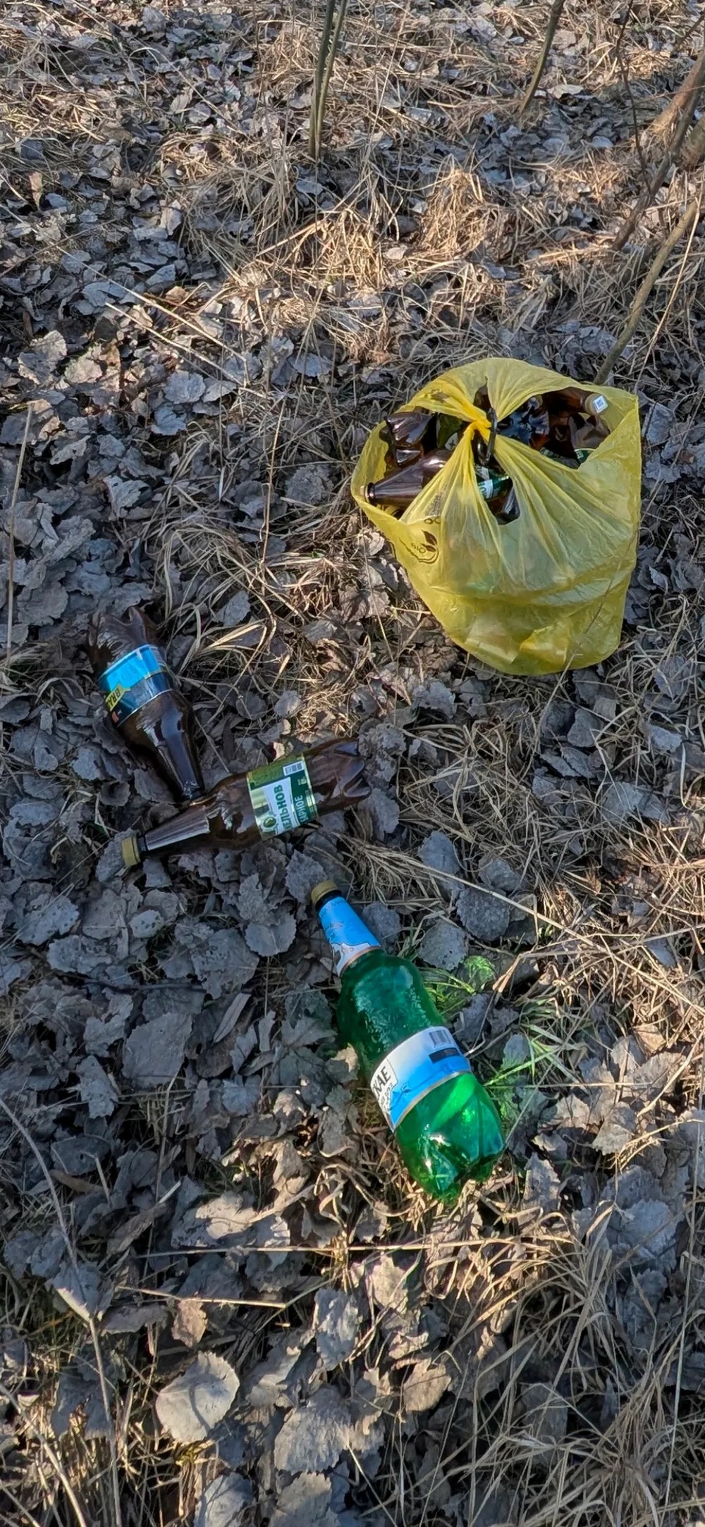 Мусор в лесополосе возле Каменецкого шоссе в Бресте. Фото Павла из Threads