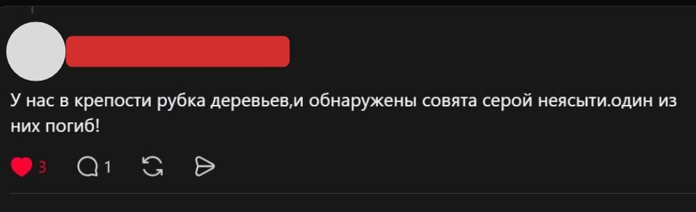 Скриншот комментария в Threads
